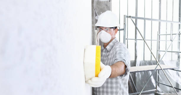 Why You Should Choose Our Mold Remediation Services in Plumas Lake, CA